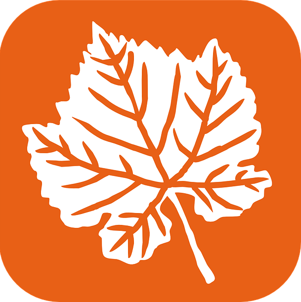 icon images
