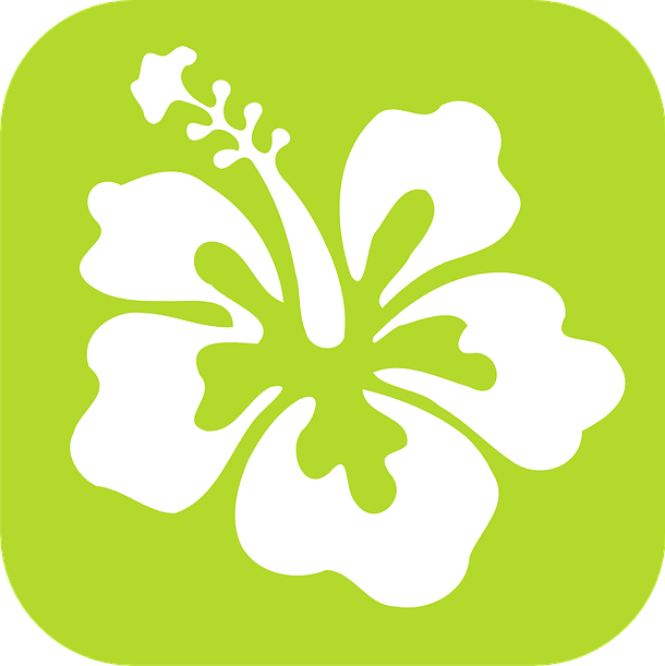 icon images