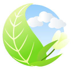 icon images