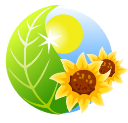 icon images